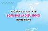 Soạn bài Lá Diêu Bông trang 47, 48 Ngữ văn 12 Chân trời sáng tạo